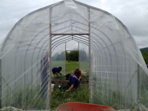 RCS Greenhouse