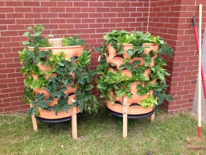 garden towers