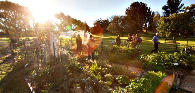 Riverside Albert Community Garden is almost ready!